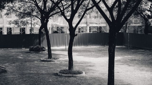 ぼっちママが恥ずかしいと感じるあなたへ|無理しない付き合い方と心がラクになる考え方