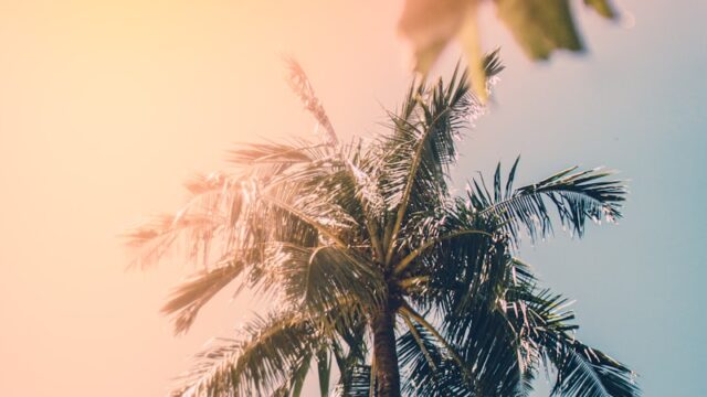 夏休みが暇な高校生へ｜お金をかけずに楽しめる過ごし方と今しかできない充実アイデア集